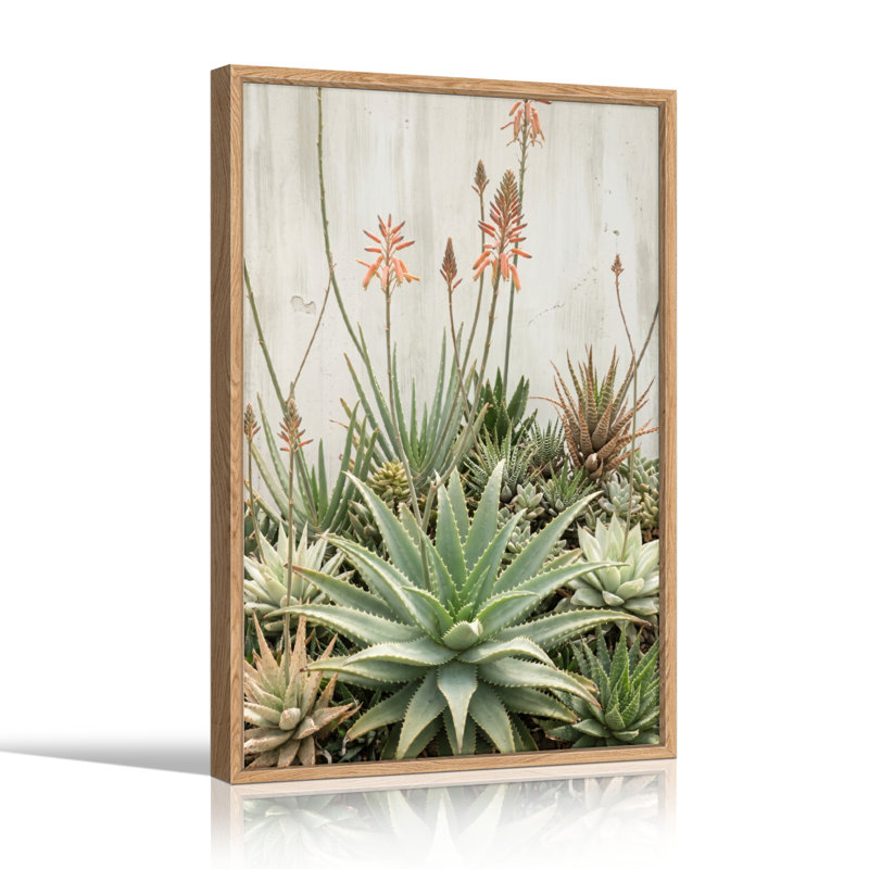 Ensemble de 1 tableau sur toile représentant un jardin de plantes succulentes, H 36 po x l 24 po, Naturel