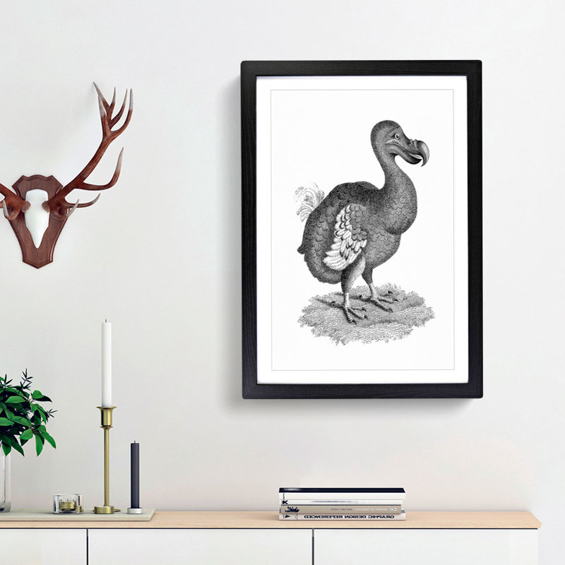 Dodo in Black and White by George Shaw - Picture Frame Drawing Print on MDF, 48cm H x 36cm W x 2cm D, Black Framed