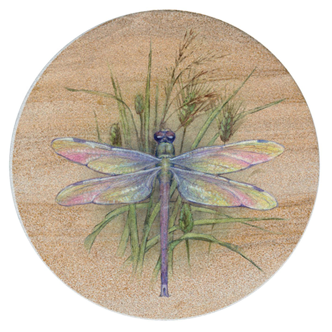 Dragonfly 4-Pack Natural Sandstone Coasters (Set of 4) Ebern Designs