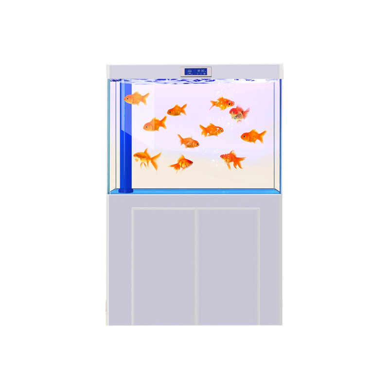 Réservoir d'aquarium 65 à 79 gallons, 79 gallons (H 59,06 po x l 39,37 po x P 15,75 po)