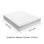 Elastic Mattress Protector Case Pack