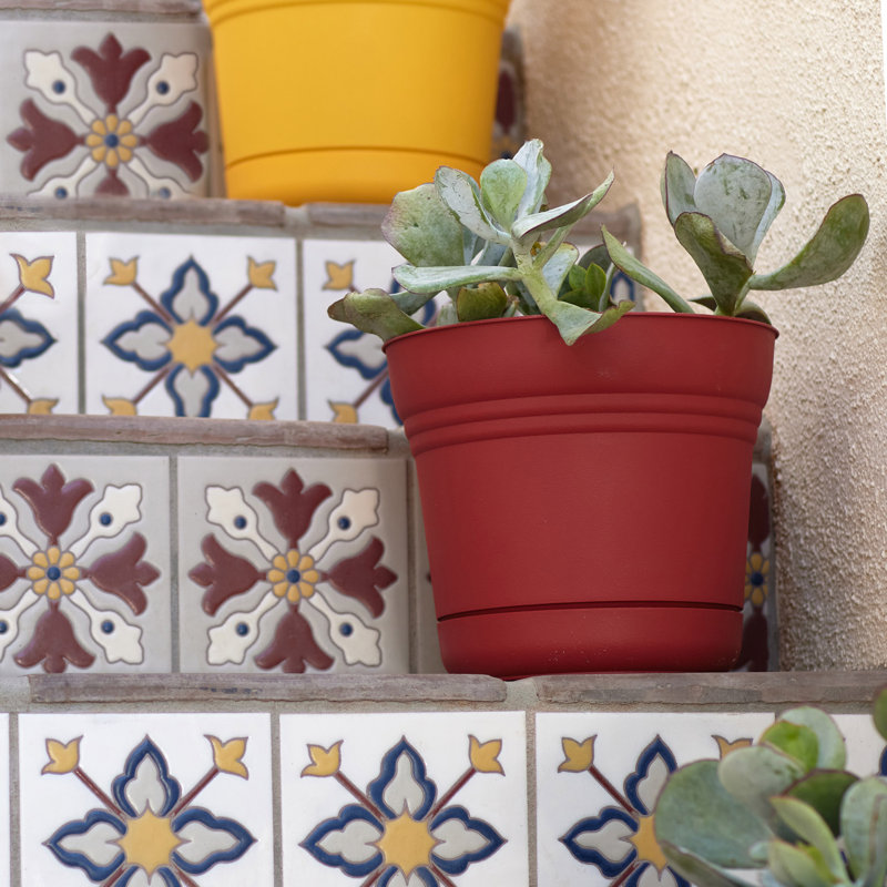 Pot à fleurs intérieur / extérieur Traditional, H 8,5 po x l 11 po x P 11 po, Rouge vif