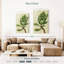 Plante grasse Harnek-108545233