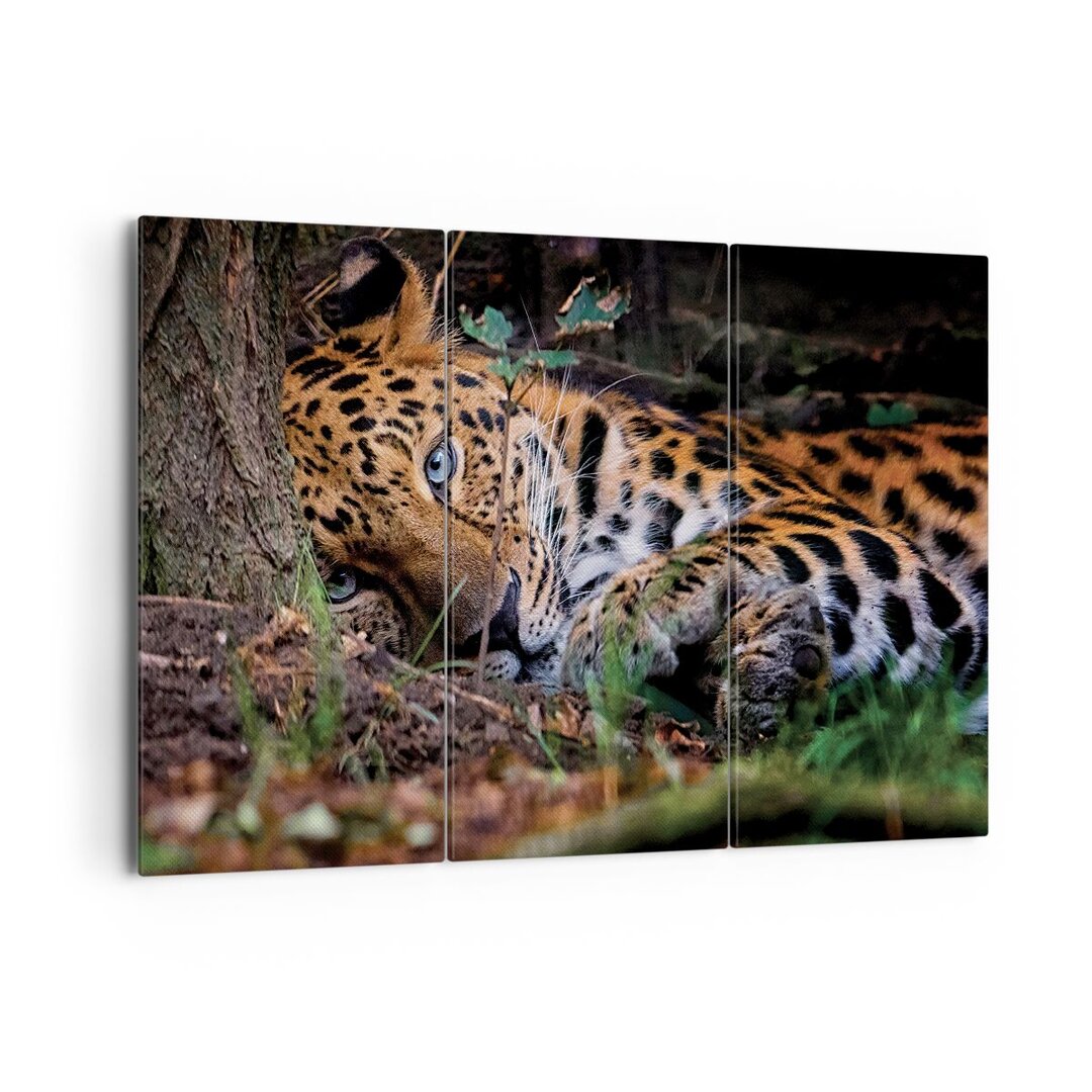 3-tlg. Leinwandbilder-Set Leopard Portrait Jaguar