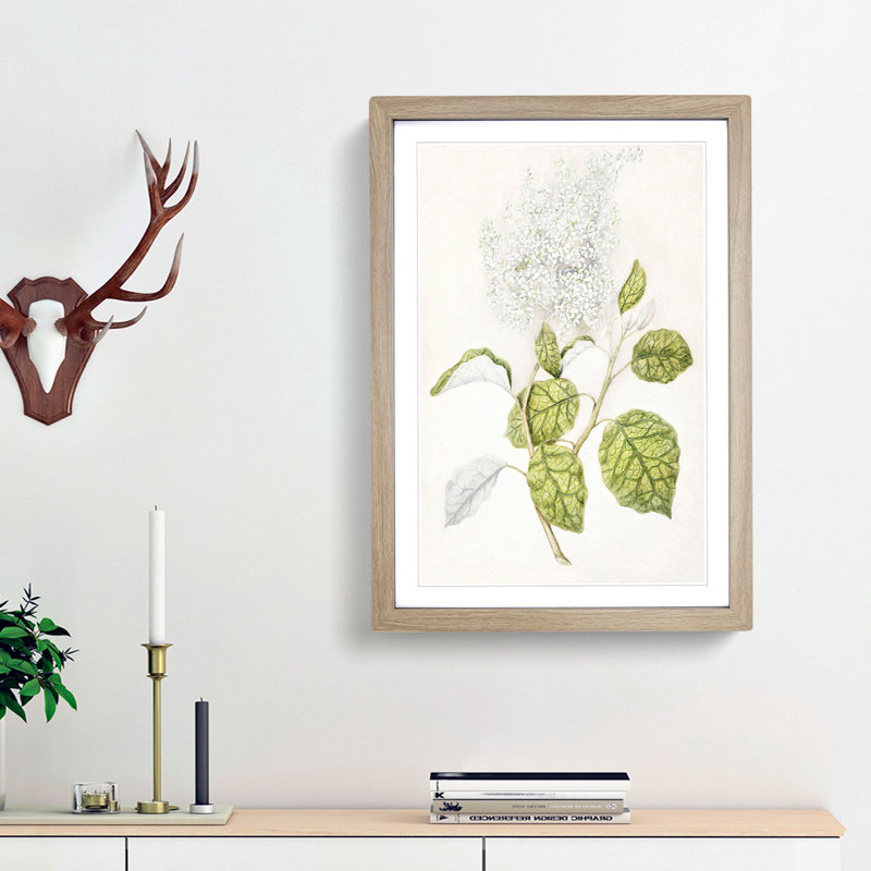 Rangiora Flowers by Sarah Featon - Framed Print, 36cm H x 27cm W x 2cm D, Oak Framed