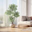 Ficus artificiel 5/6 pi avec pot de fleurs blanc - plante de plancher artificielle avec 3 troncs et feuilles blanches-1101706369
