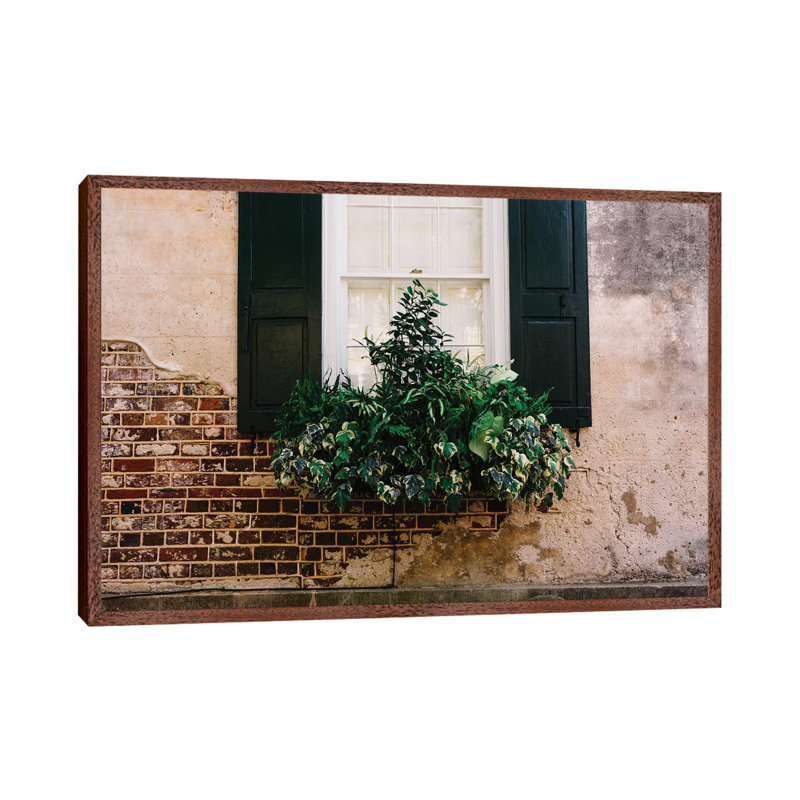 Charleston Walls IX by Bethany Young - Print on Canvas, Classic Brown Wood Framed, 66.04cm H x 101.6cm W x 3.81cm D