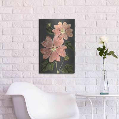 "Anémone rose" par lettré et doublé