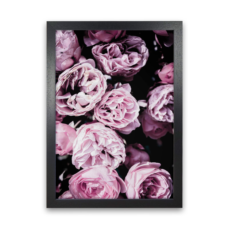 Pink Flowers II by Victoria Frost - Print, 34cm H x 25cm W x 3cm D, Black Framed