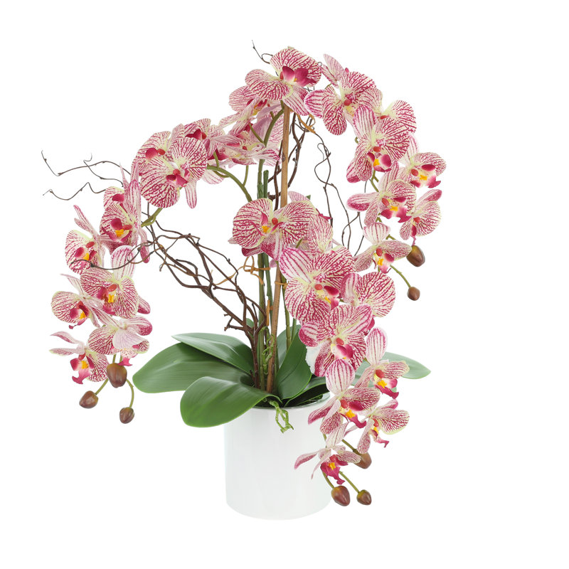 Modern Orchid Arrangement in Round Fiberstone Pot, Pink