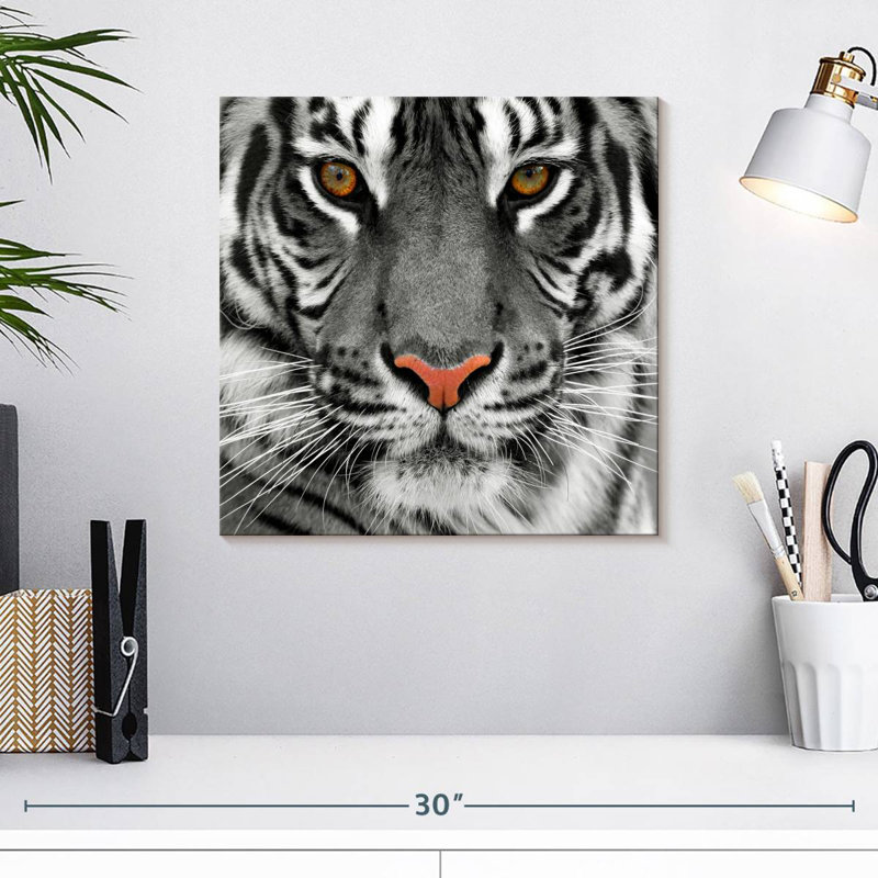 Brampt Staring Tiger, 16" H x 16" W