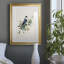 Spring Spring Gray Jay - peinture encadrée-612375675-612375674