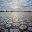 Water Shards