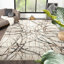 Southwestern Area Rug in Beige-2019648406