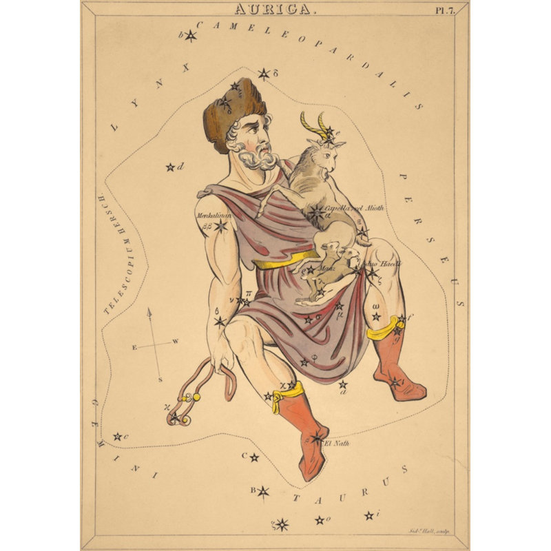 Auriga Print by Grand Archives, 32" H x 23" W, Black Framed