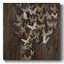 Papillons sociaux-1511789182