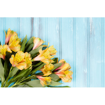 Fleurs de printemps Alstroemeria par Fstop123
