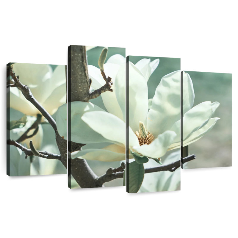 Harnek Magnolia Tree Flower