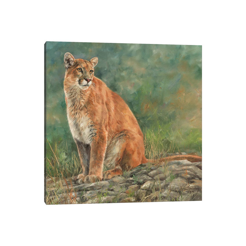 Cougar Sitting by David Stribbling - Wrapped Canvas Print, 45.72 cm H x 45.72 cm W x 1.91 cm D