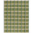 Beige/Green
