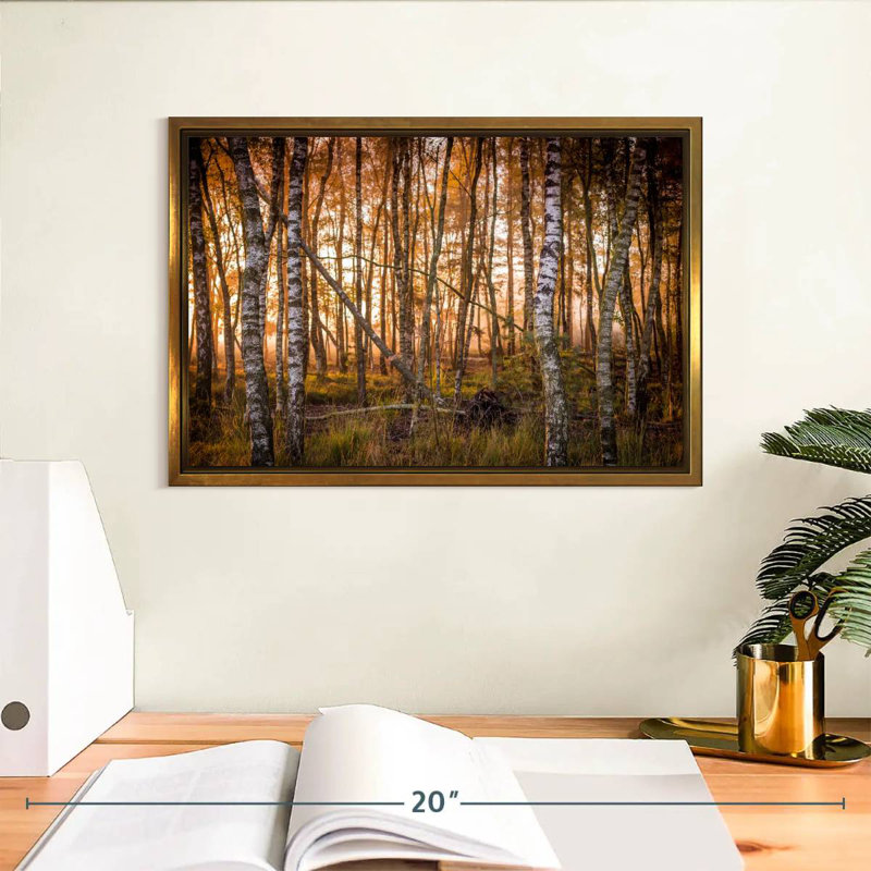 Forêt de bouleaux sombre, Cadre flottant doré, 13 po x 9 po