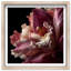 Velvet Labellum Print by Oliver Gal-1341835840-1341835841