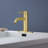 Single Handle Bathroom Faucet Lavatory Faucet Stainless Steel Single Hole-T10, Brushed Gold-118610638