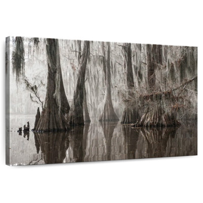 Arbres Harnek poussant dans le lac Caddo