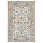 Wool Oriental Area Rug in Ivory