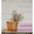 Sheet Set-275257619-275257615
