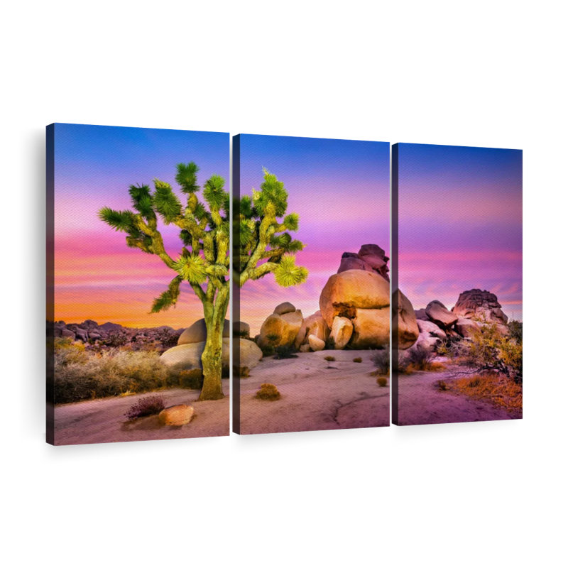 Nature, "Joshua Tree National Park IV", reproduction sur toile, H 42 po x l 65 po x P 1,25 po