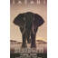 Serengeti MCG-F566b-1670312341