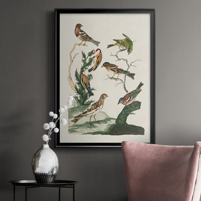 " Antique Birds In Nature I "