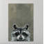 Look Raccoon Wrapped Canvas Painting-317732432