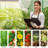 JESLED 40 Watt Grow Light Fruits / Vegetables-64123823