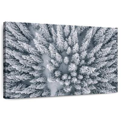 Pin Harnek recouvert de neige