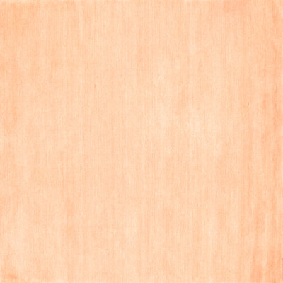 Valle Performance Indoor Rug