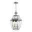 Lanterne suspendue d'extérieur à 3 lumières H 19 po Alexavier-1718522099
