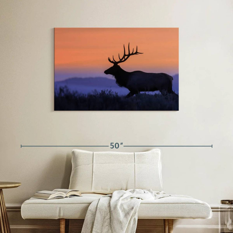 Wapiti brulé contre le coucher du soleil, H 26 po x l 39 po