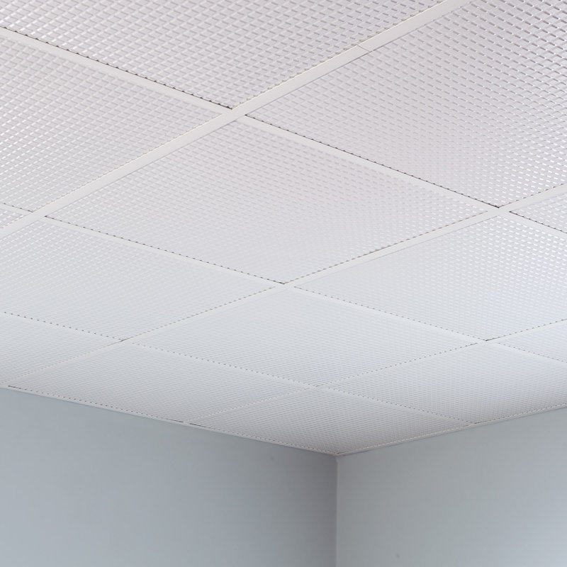 24 in. L x 24 in. W Textured Vinyl Drop-In Ceiling Tile, Matte White