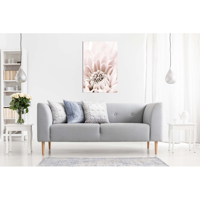 Pastel Pink Chrysanthemum Close Up - Wrapped Canvas Print, 31cm H x 20cm W x 1.8cm D