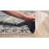 Barleria Oriental Indoor Rug