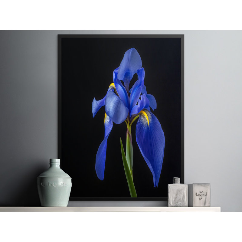 Norvin 1 Piece Wall Art, 11x17
