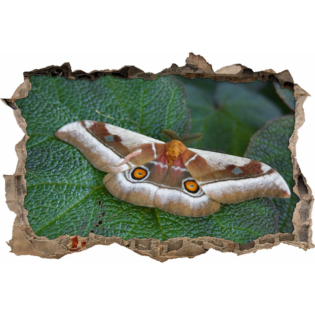 Wandtattoo Exotischer Schmetterling auf Blatt