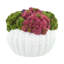 Assorted Sedum Arrangement