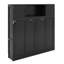 Lit escamotable double avec armoires de rangement