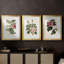 Mélange de fleurs roses I - impression encadrée sur mesure de qualité supérieure mate - 3 pièces-44061803-44061800