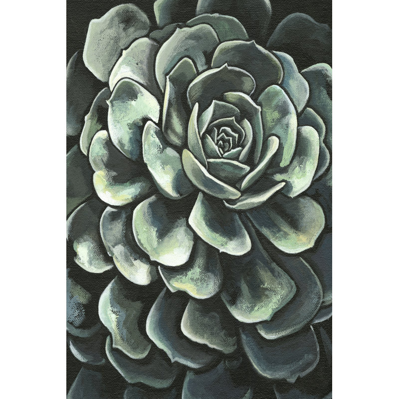 Printed Lunar Succulent II (D) by Megan Meagher - Wrapped Canvas Painting, 46cm H x 30cm W x 3.8cm D