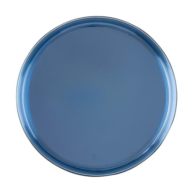 Assiettes en plastique bleu transparent de 10 pouces, 110