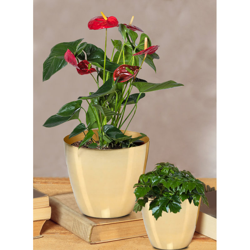 Ensemble de cache-pots en métal Dawoud, 4, Or